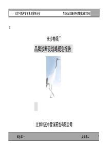 白沙品牌的诊断规划