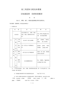 初中英语语法梳理和提高教案—名词