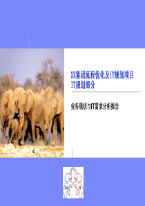 XX公司IT战略规划