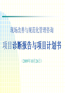 规范化管理咨询诊断报告