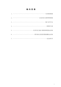 7第七卷 安全检查