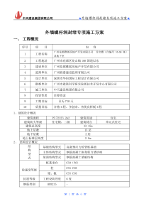 （花山）外墙螺杆洞补洞施工方案