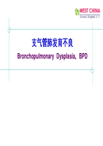 支气管肺发育不良