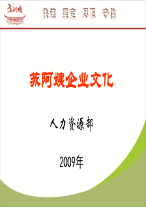 苏阿姨企业文化培训PPT2009