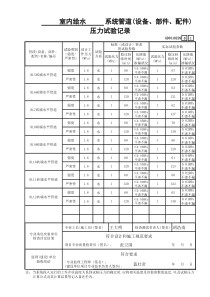 31 系统管道(设备、部件、配件)压力试验记录 GD3010229