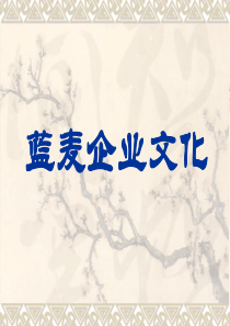 蓝麦电商企业文化（PDF35页）