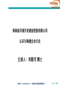 认识与构建企业文化(宋联可)