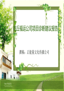 福运公司项目诊断建议报告