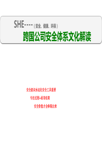 跨国公司安全管理体系文化分享(课件)(1)