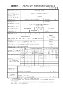 19____系统阀门(配件)安装前外观检查—压力试验记录GD3010219