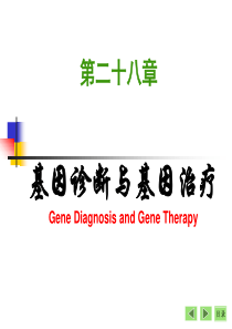第28章 基因诊断与基因治疗(袁野)