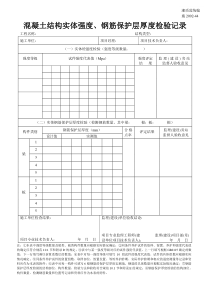 施2002-44混凝土结构实体强度、钢筋保护层厚度检验记录