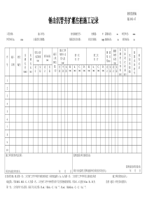 施2002-47锤击沉管夯扩灌注桩施工记录