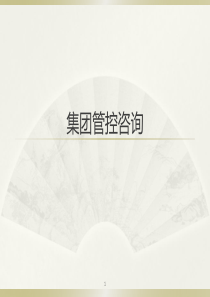 集团管控咨询(新)