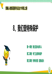 最新部编人教版道德与法治六年级上册《我们受特殊保护》优质课件