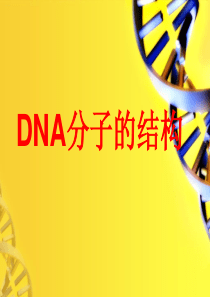 人教版《DNA分子的结构》PPT完美课件1