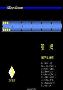 麦肯锡—组织咨询培训手册