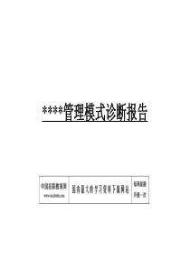 管理模式诊断报告(3)