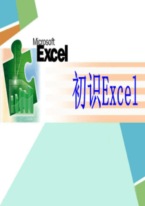 中学信息技术-《初识Excel》