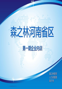 青岛森之林企业文化宣讲完稿