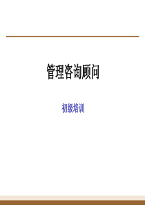 麦肯锡管理咨询顾问初级培训