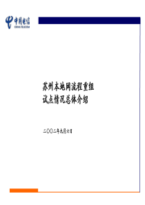 麦肯锡给中国电信做的咨询方案