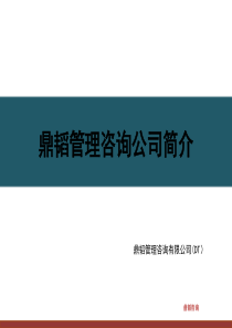 鼎韬管理咨询公司简介