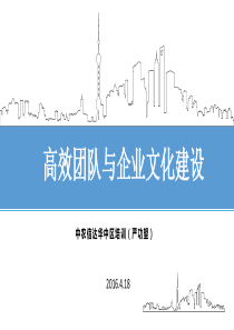 高效团队与企业文化建设(严功望)