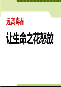 远离毒品主题班会--ppt课件