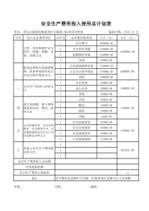 安全生产费用投入使用计划表