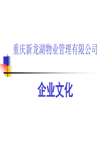 龙湖物业企业文化