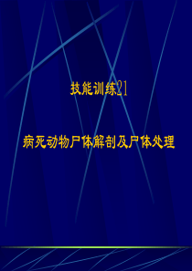 病死动物尸体解剖及尸体处理