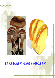 微生物在生物圈中的作用》课件