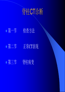 脊柱CT诊断[第四军医大]