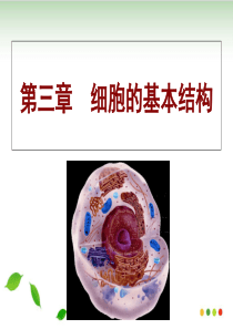 细胞膜系统的边界PPT课件