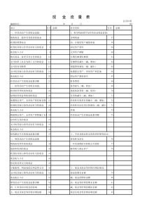 现金流量表会企03表