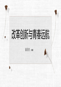 改革创新与青春远航