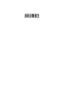 西码诊断报告提纲