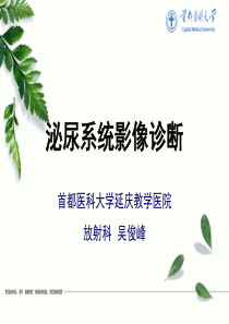 泌尿系统影像诊断