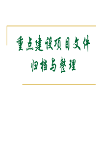 重点建设项目文件归档与整理