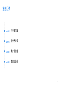 共享出行行业分析报告