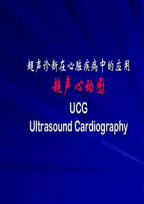 超声诊断 心脏
