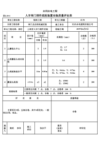 表2.10-1 人字闸门埋件底枢装置安装质量评定表（例表）