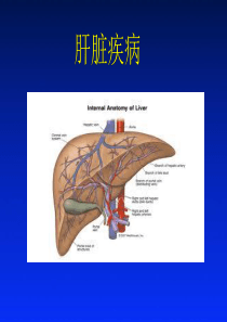 肝脏疾病PPT