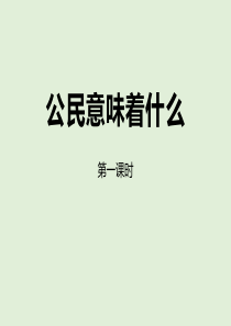 《公民意味着什么》我们是公民PPT(第一课时)