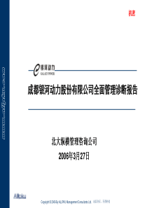 银河动力全面管理诊断报告(汇报稿)