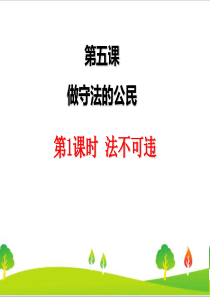 最新人教部编版八年级道德与法治上册《法不可违》精品课件