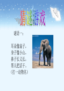 《蚂蚁做操》教学课件