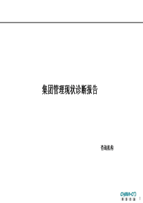 集团管理现状诊断报告(3)