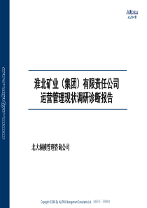 集团调研诊断报告